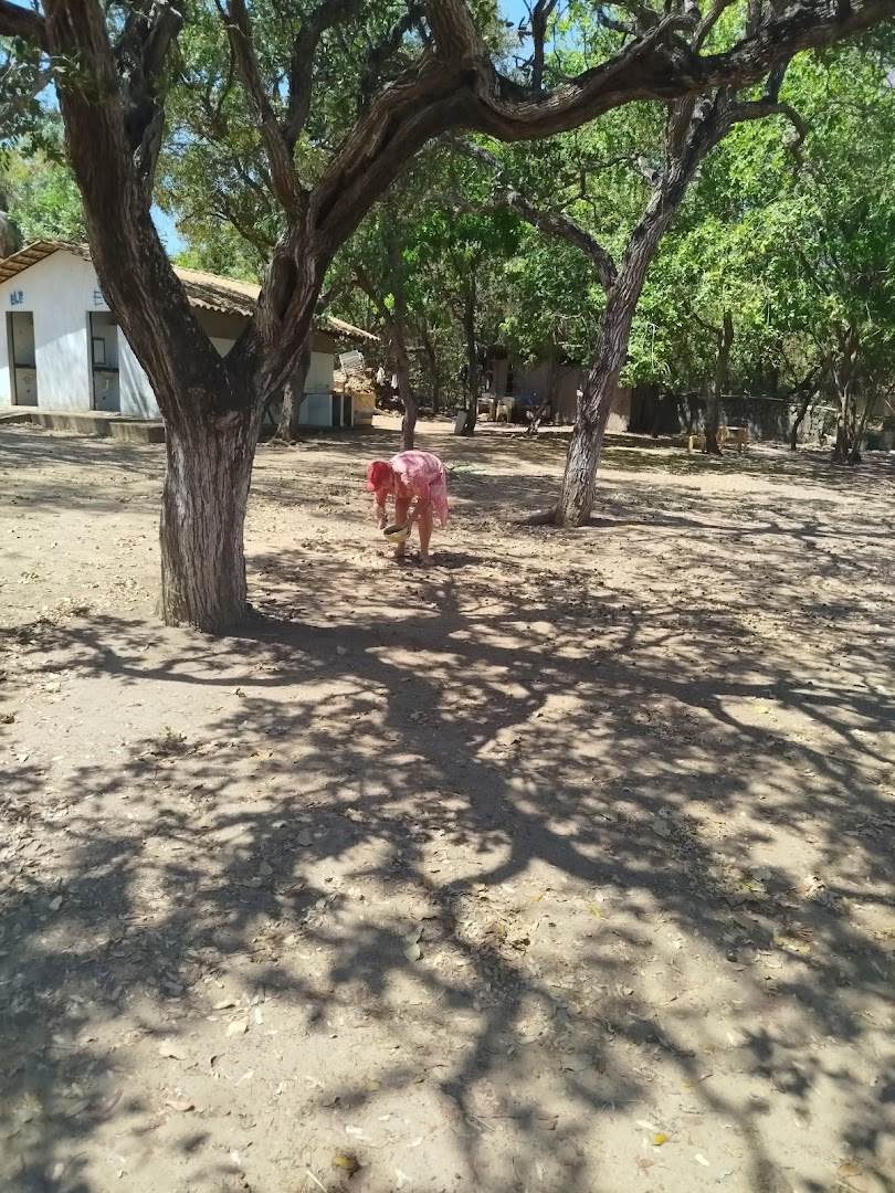 Camping do Sérgio - Image 5