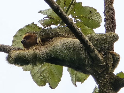 Cachoeira da Costa Rica - Image 4