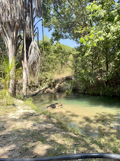 Pousada Restaurante Rota 110 - Image 4