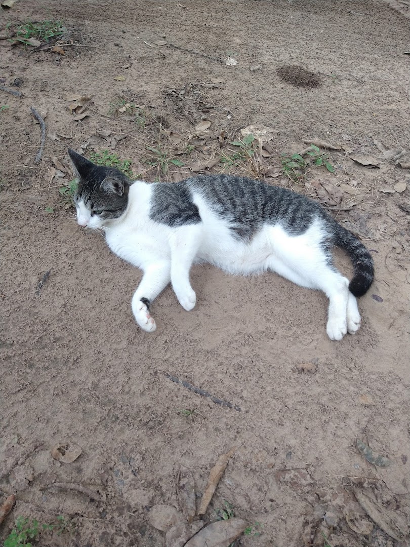 Rancho Benvindo - Main Image