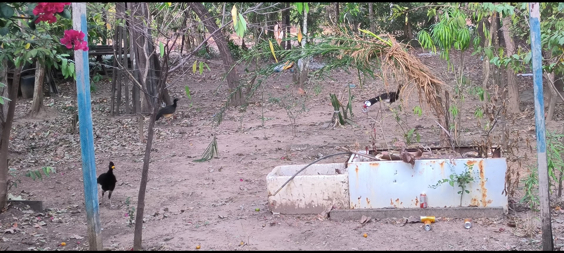 Rancho Benvindo - Image 5