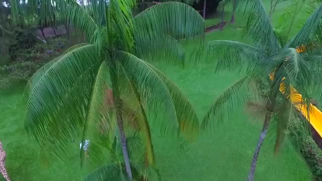 Camping - Chapéu de Sol - Image 2