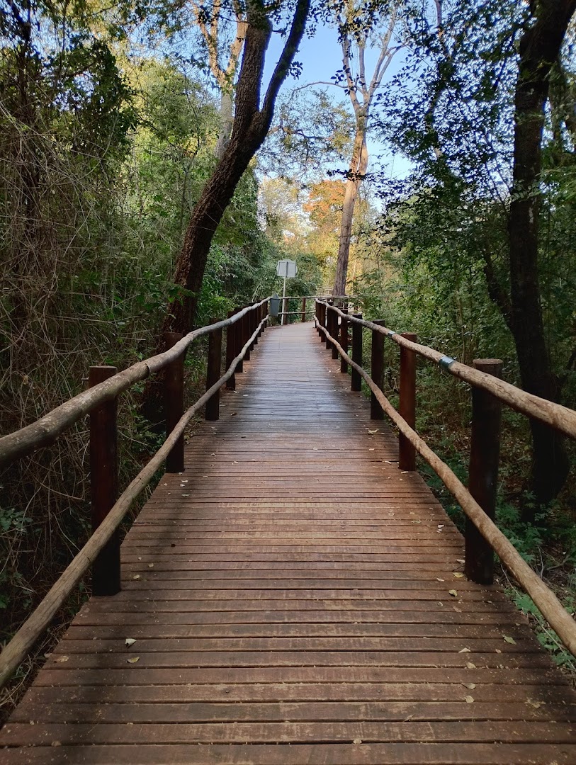 Parque Aguas Claras (Trilha Da Mata) - Main Image