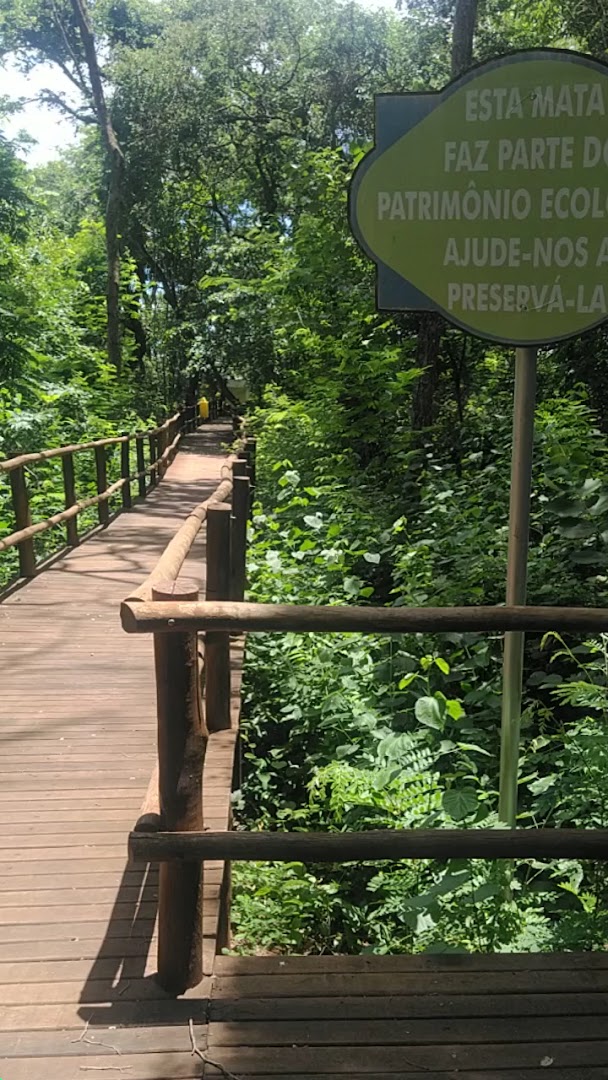 Parque Aguas Claras (Trilha Da Mata) - Image 2