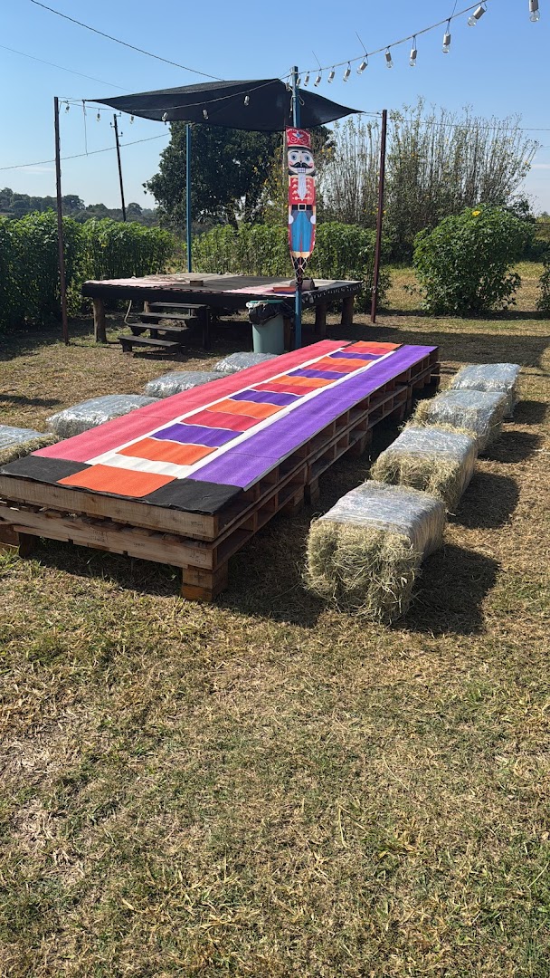 Camping Santa Filomena - Image 5