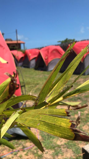 Casa Do P.A.S. Ponto de Apoio ao Surf(Ista em qualquer modalidade) - Image 3