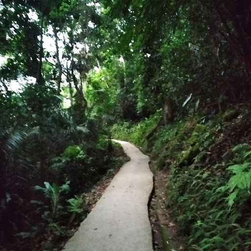 Surf camping prainha branca Gisele/ju - Image 2