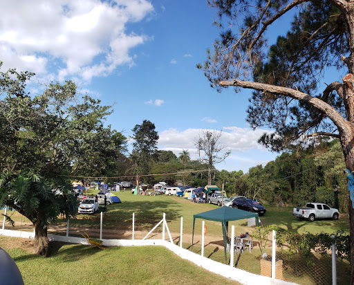 Ringo's Camping - Image 2