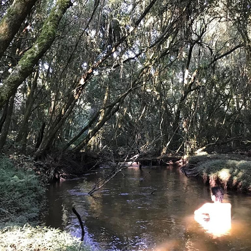 Vila das Borboletas - Image 3