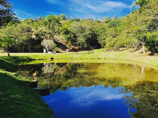 Vapo Camping EcoPark - Image 4