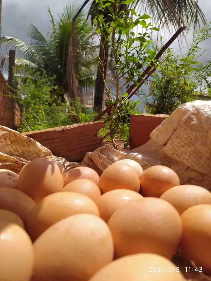 Chalé em Fátima Bahia - Image 5