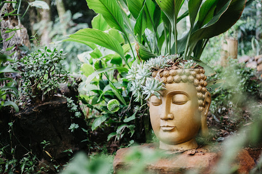 Pousada Flora Bamboo Eventos e Camping - Main Image