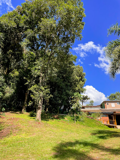 Pousada Flora Bamboo Eventos e Camping - Image 4