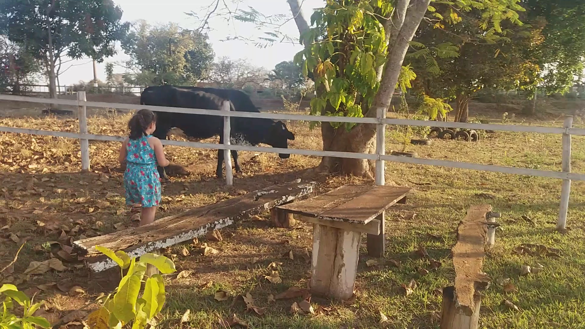 Recanto Praia das Mangueiras - Image 2