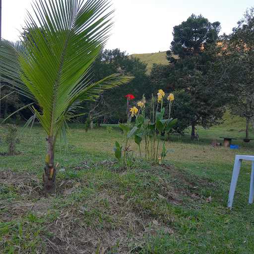 Balneário Monte Alegre (Cachoeira do Criminoso) - Image 3