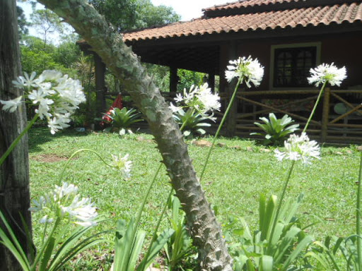 Sítio Serra das Paineiras - Image 2