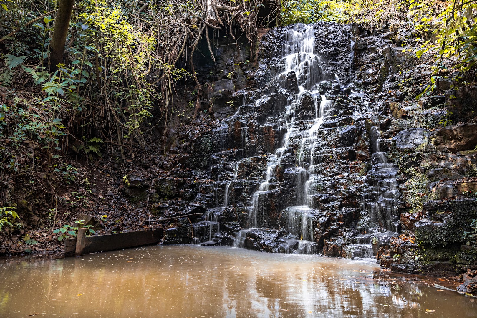 Cachoeira 3 Quedas - Image 5