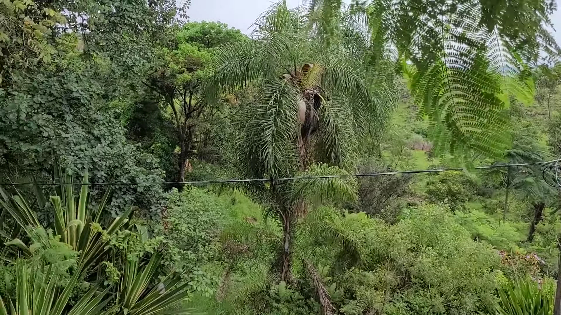 Fazenda das Pedras Itu - Image 2