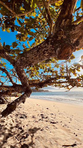 Camping JM - Main Image