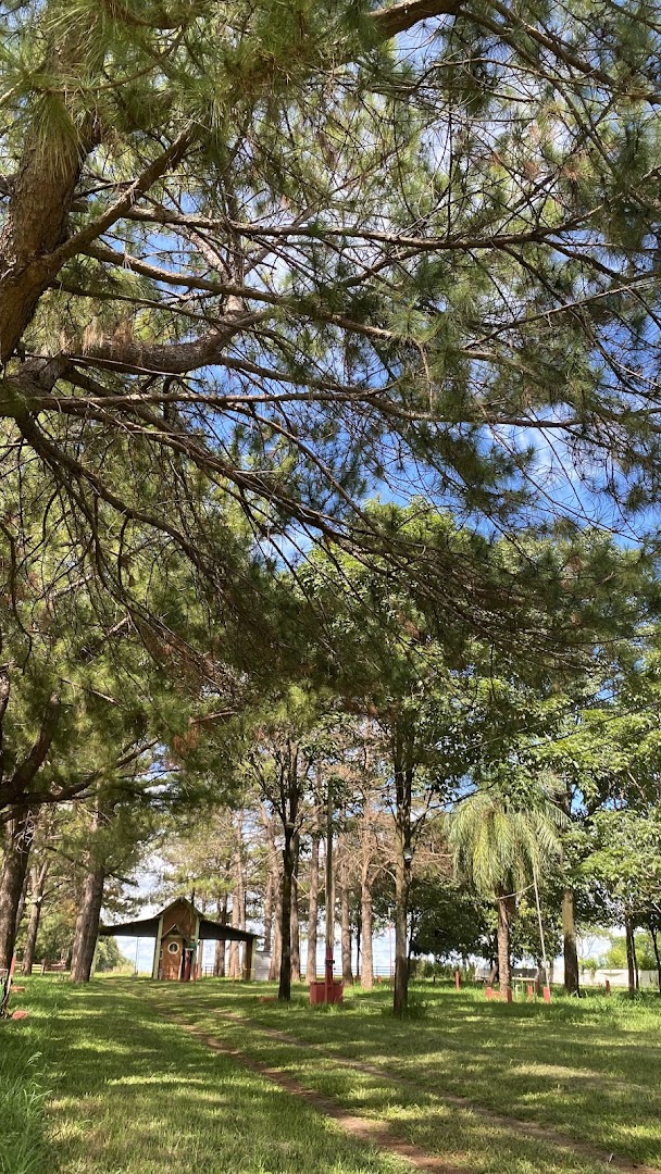 Camping do Bira - Barretos - Image 5