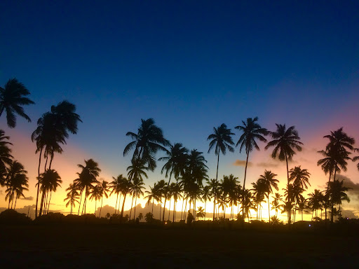 EcoTainer Maracaípe - Image 2