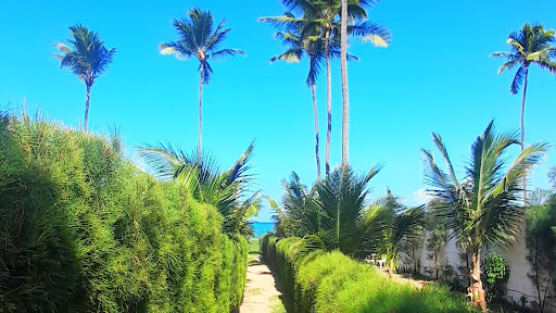 EcoTainer Maracaípe - Image 4