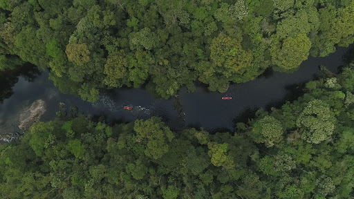 Parque das Neblinas - Main Image