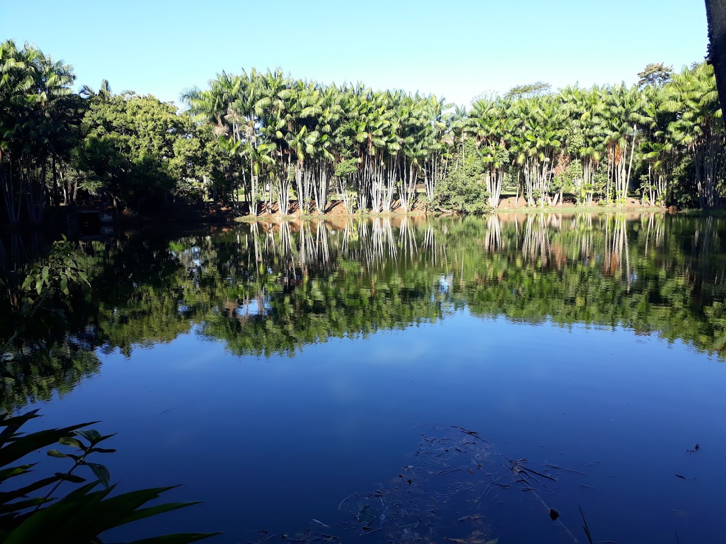 Camping e Parque Turístico Municipal - Image 2