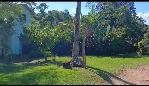 Camping do sítio ilhabela - Image 3