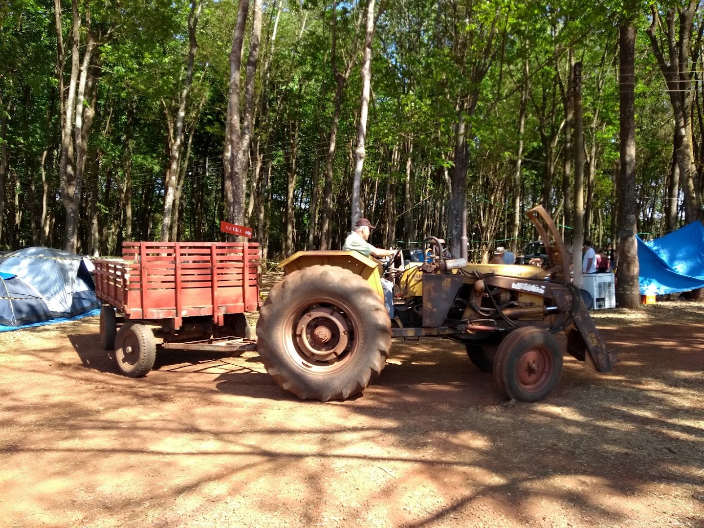 Floresta Camping - Image 5