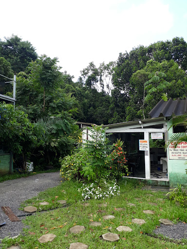 Camping Boraceu - Main Image