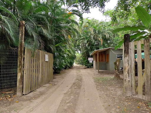 Camping do Damasio - Main Image