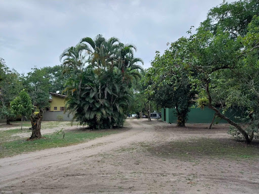 Camping do Damasio - Image 2