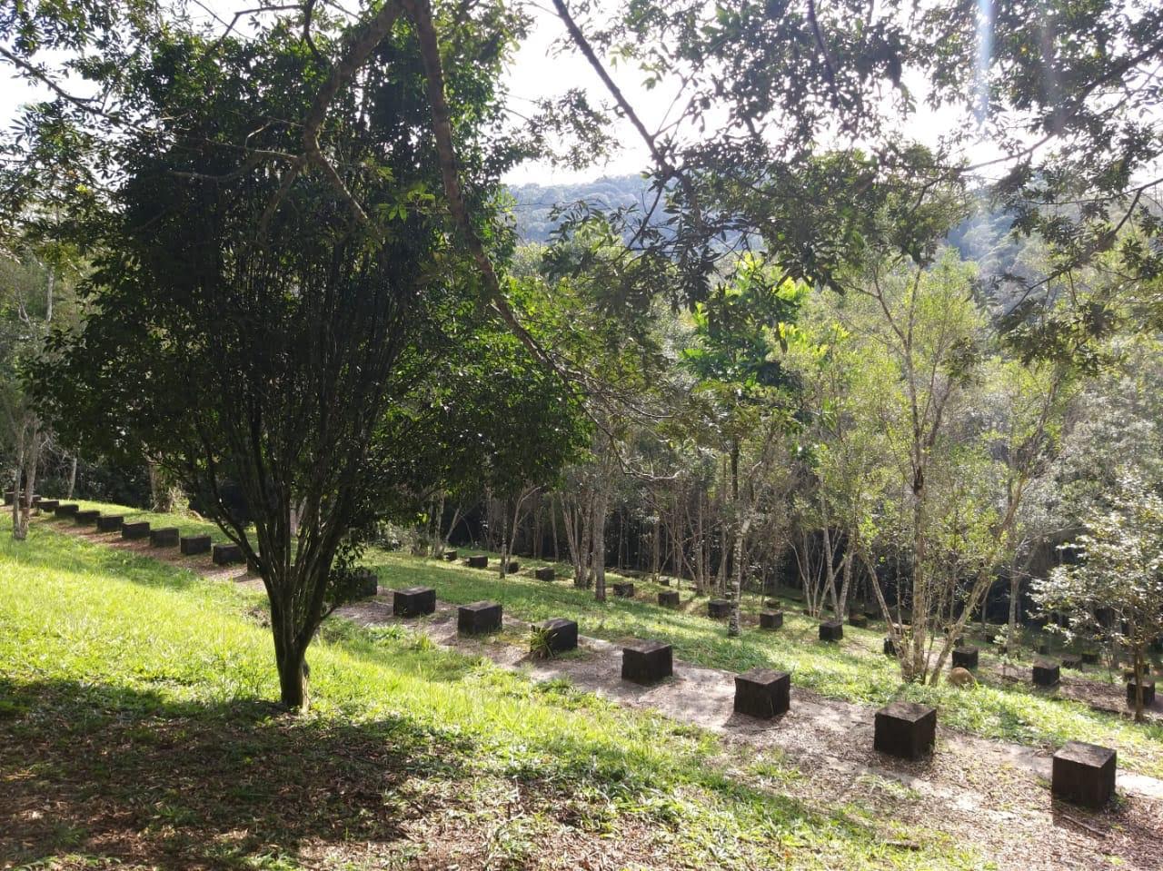 Reserva Mahayana - Image 3