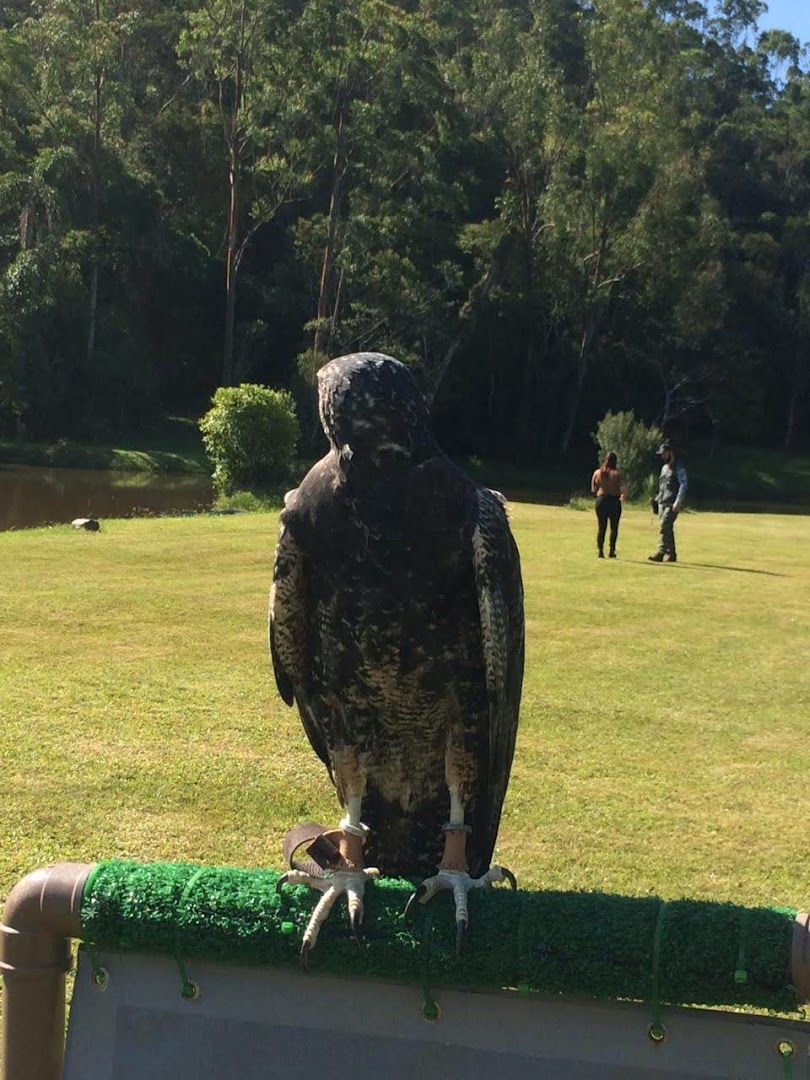 Reserva Mahayana - Image 5