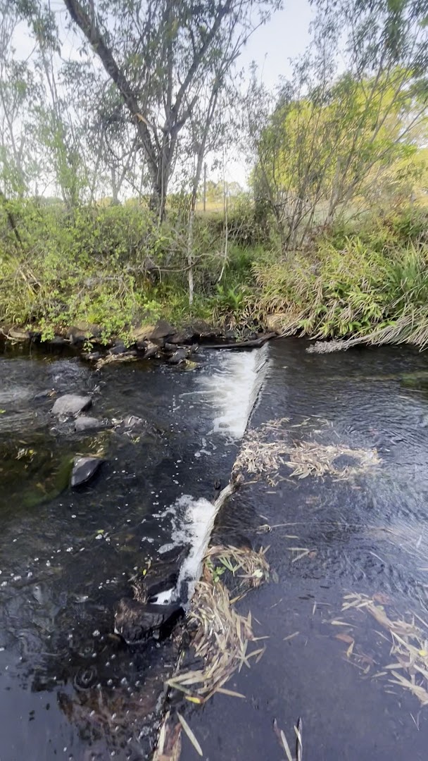 Camping Pocinho do Binga - Image 2