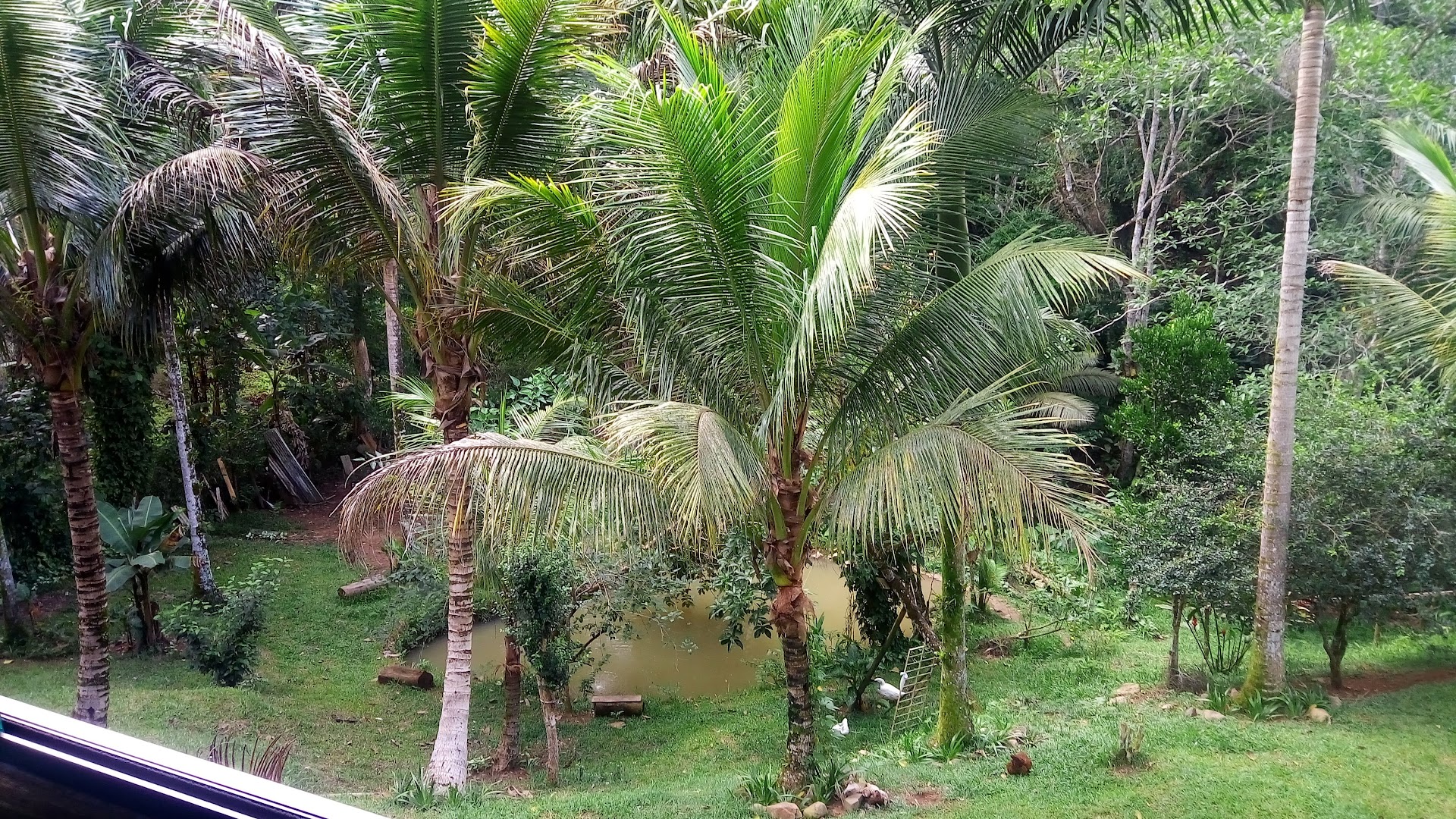 Hostel Camping Parque das Cachoeiras - Main Image