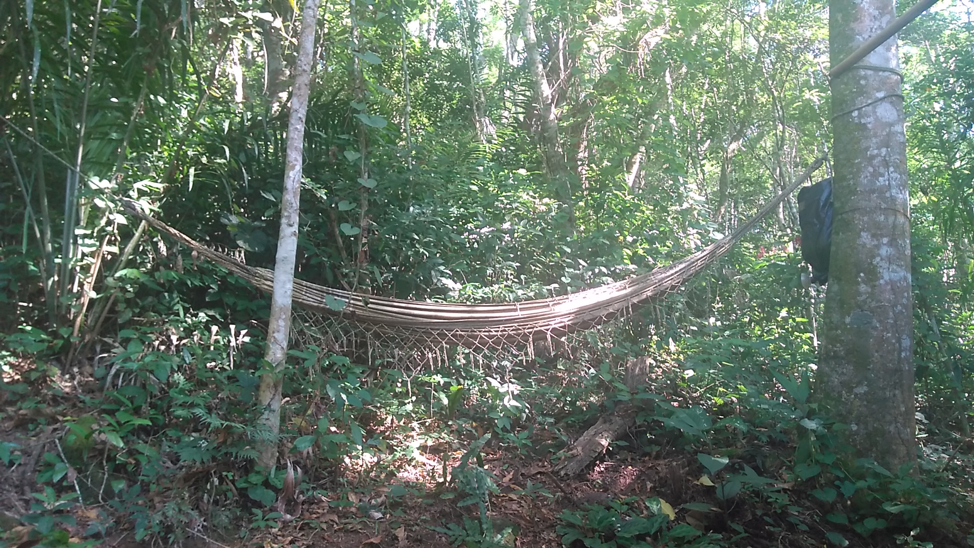 Hostel Camping Parque das Cachoeiras - Image 2