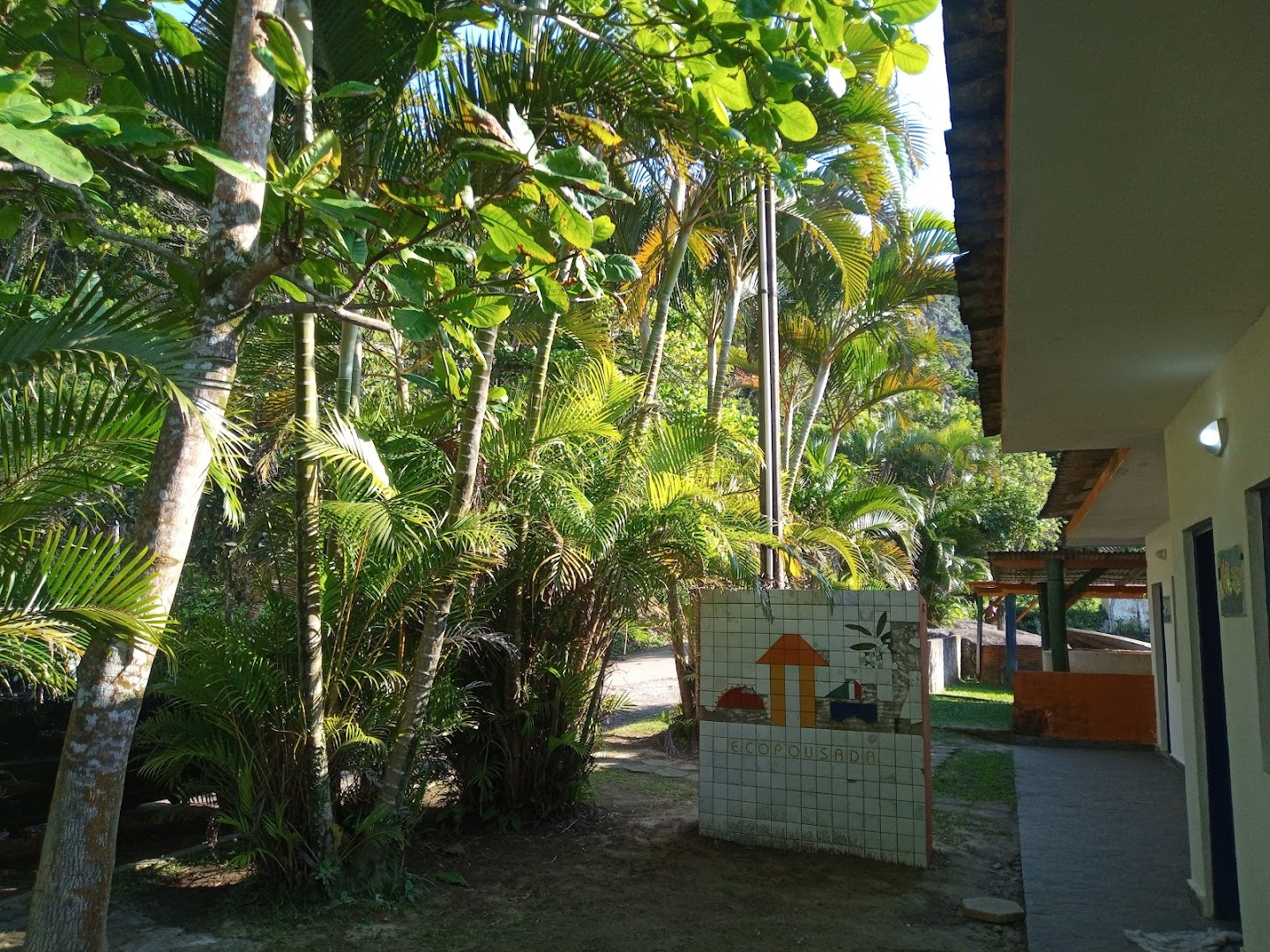 Canping do Kojak - Image 3