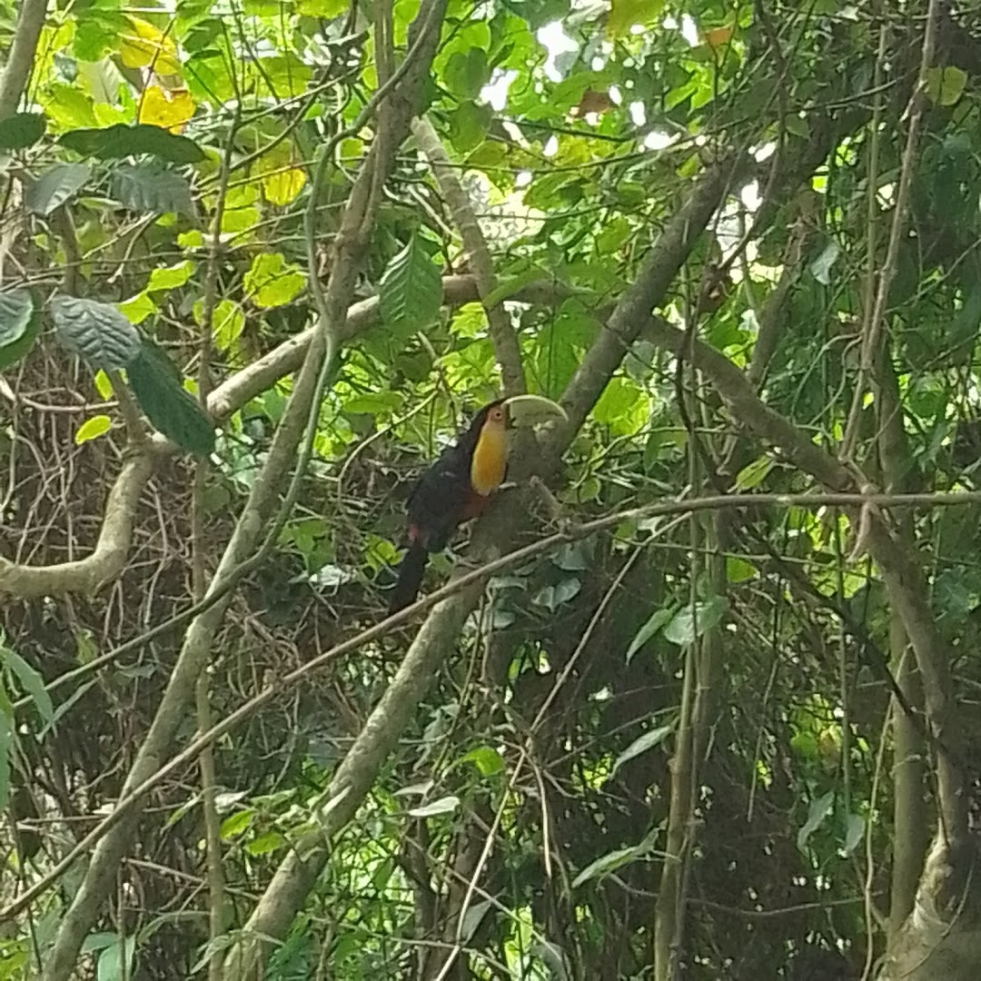 Camping do Cris - Image 3