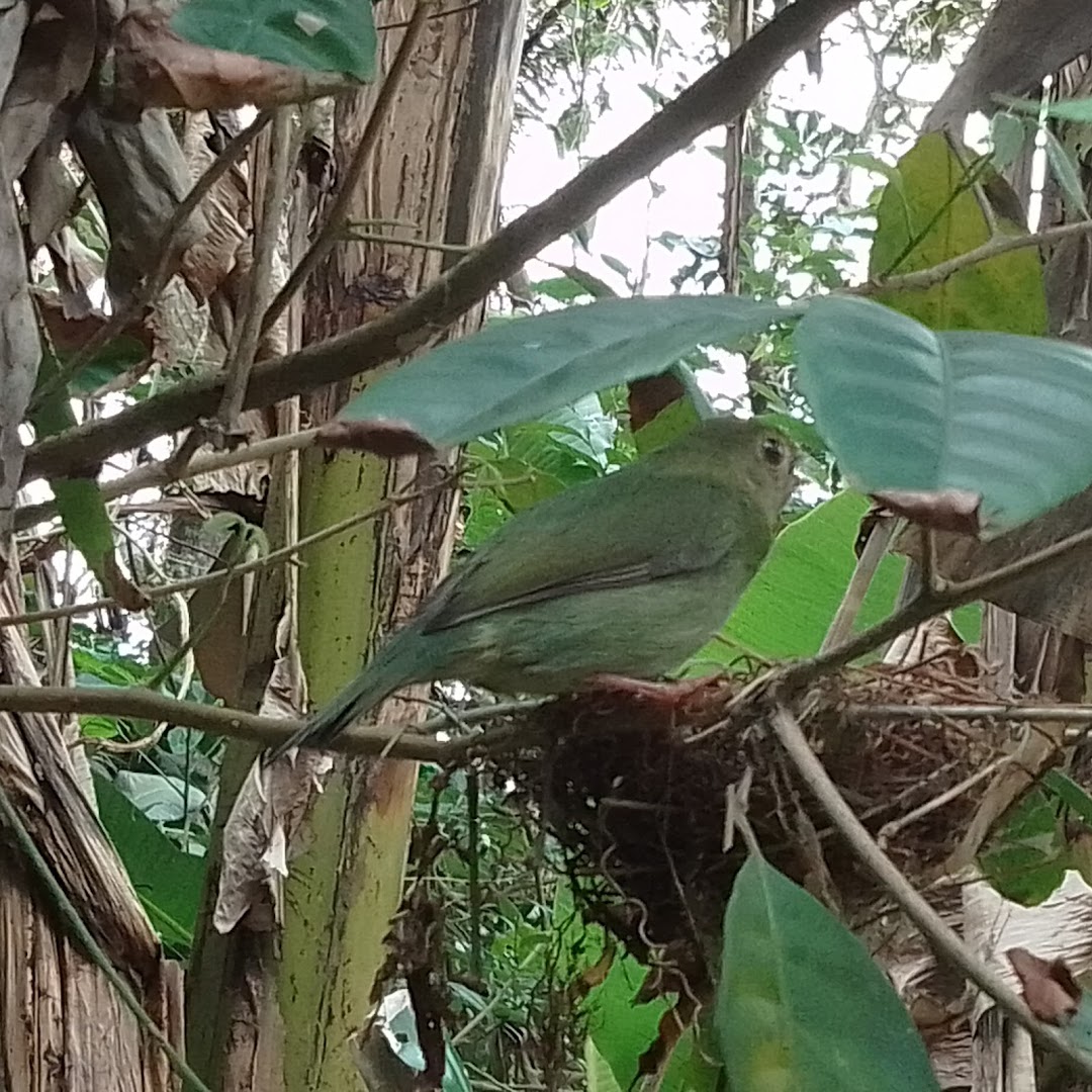 Camping do Cris - Image 4