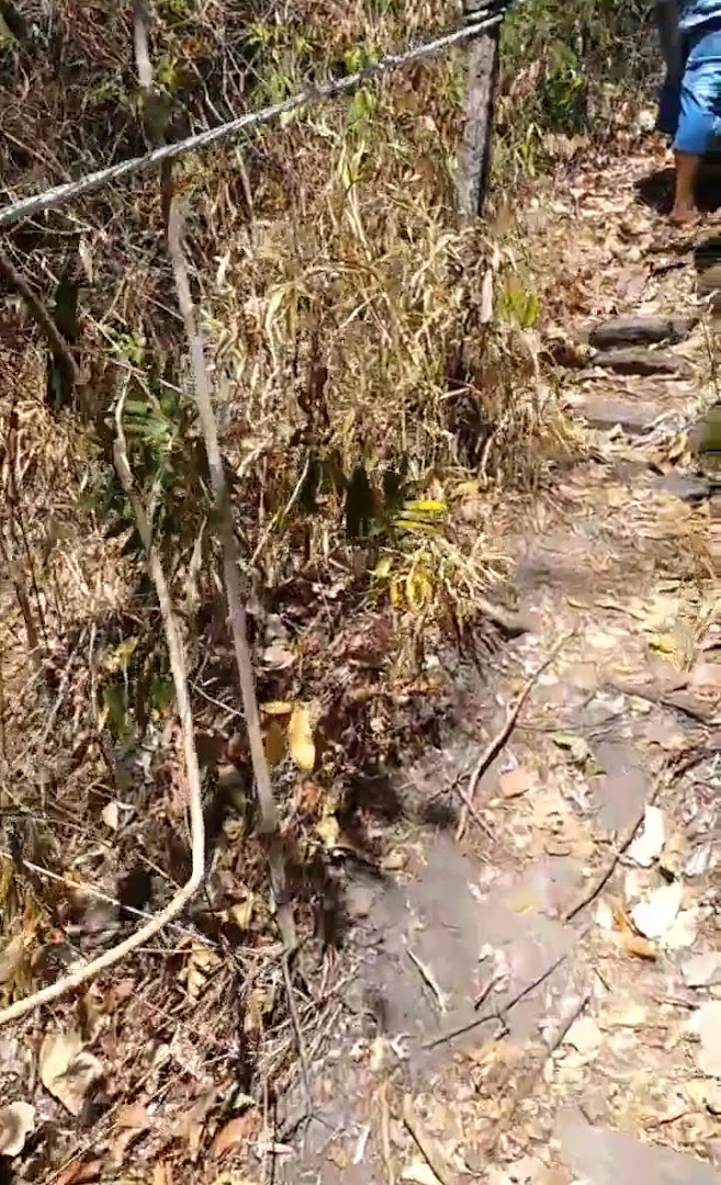 Quintal da Rainha Camping - Image 2