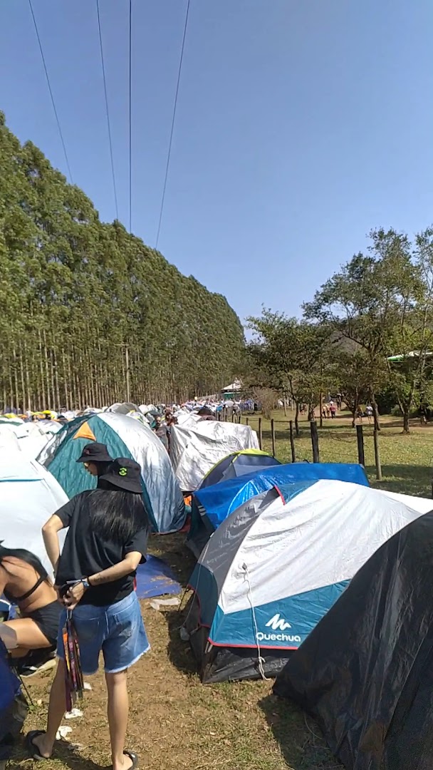 Parque do Lago - Image 2