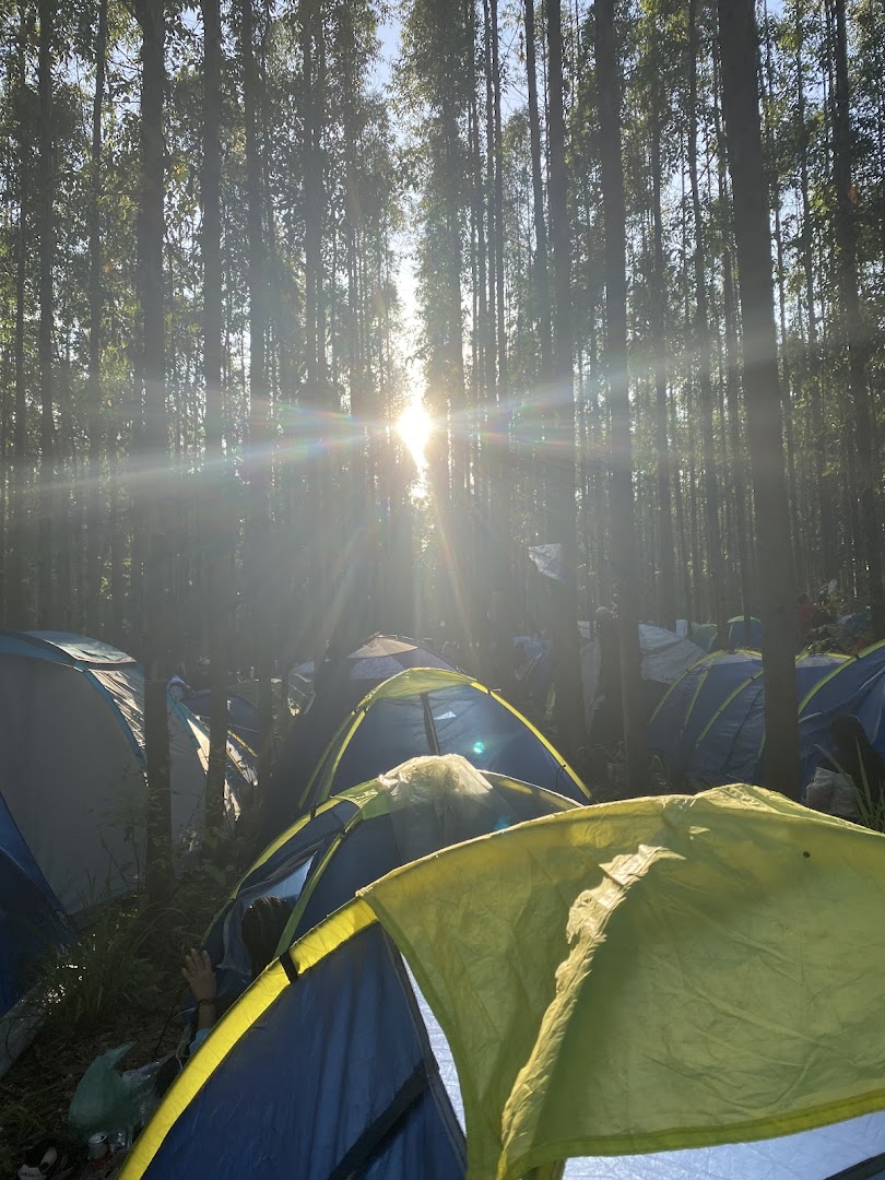 Parque do Lago - Image 3