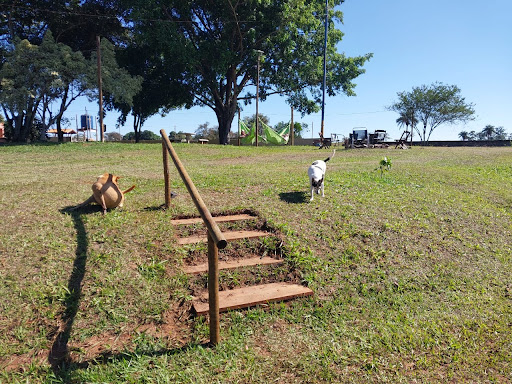 Camping Recanto dos Jequitibás - Image 2