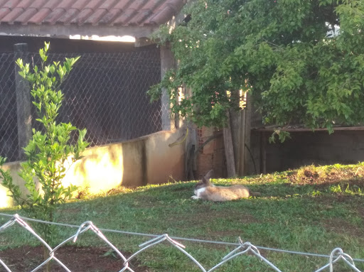 Chácara Araújo Ferreira - Image 3