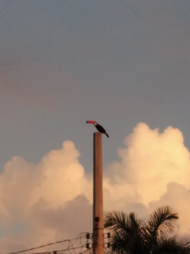 Chácara Araújo Ferreira - Image 4