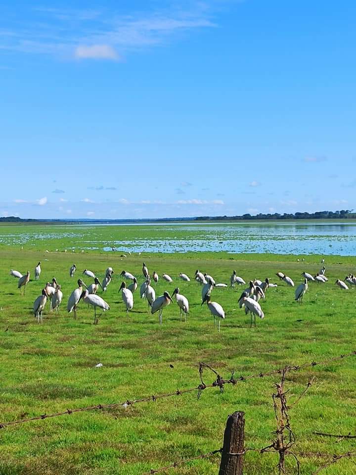 Complexo Turístico Leandro Trindade da Silveira - Prainha de Cardoso - Image 3