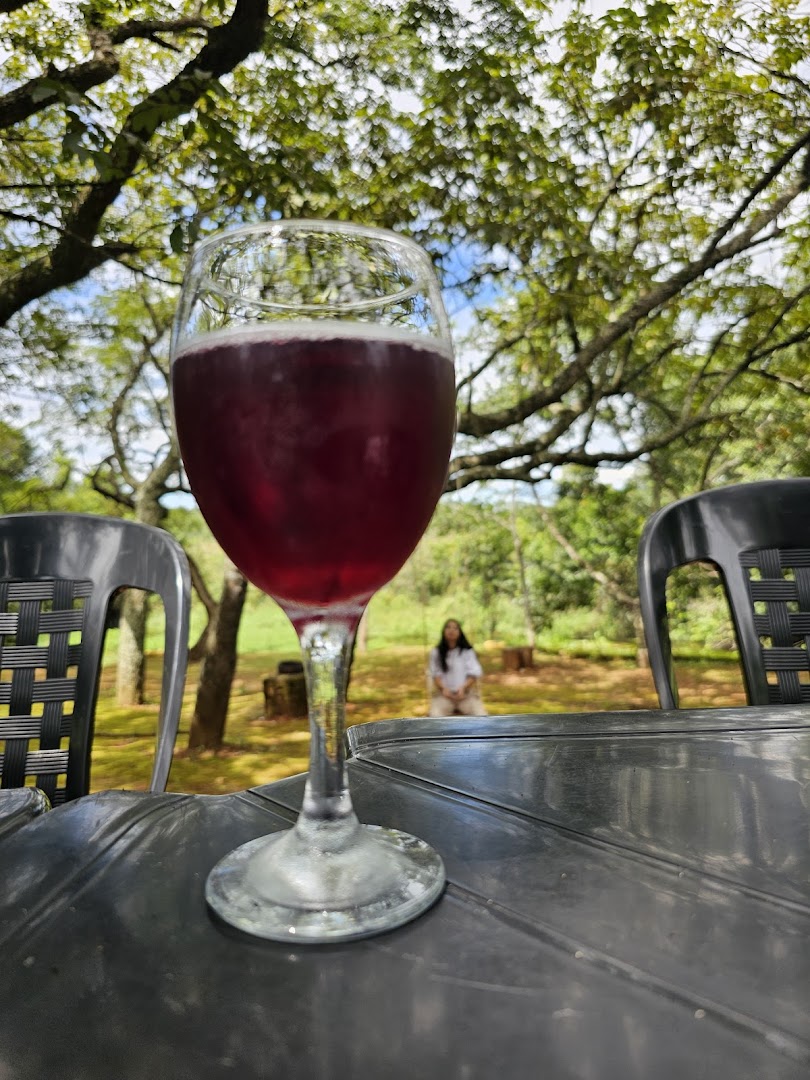 Camping ASPMC (Servidores) - Main Image