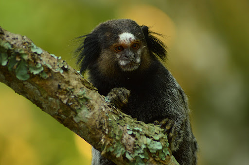 Sun Rock Climb - Image 2